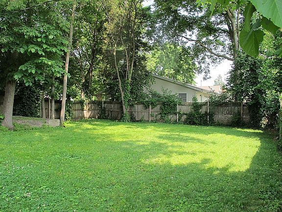 Back yard