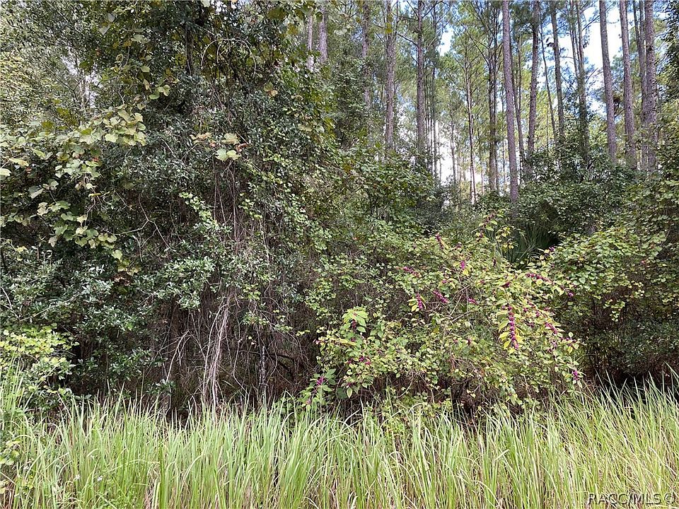 1st image of 9231 N Patch Dr