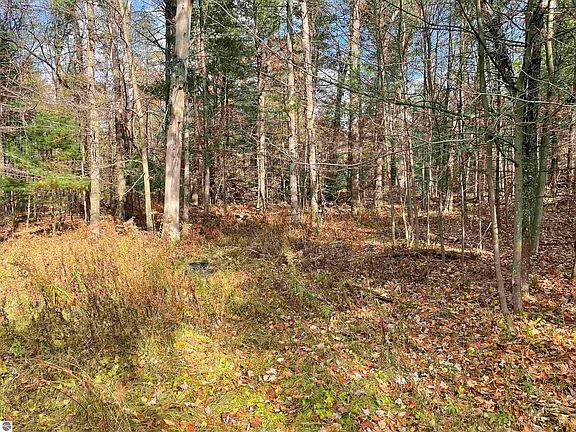 2nd image of 0 Silver Creek Rd