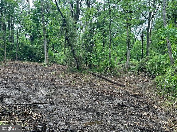 4th image of 0 Oak Ln