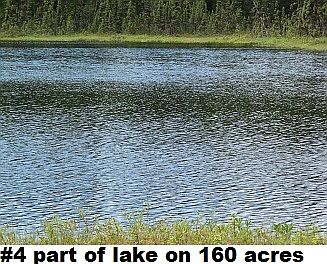 4th image of 160 Acres With Lake Sportsman's Paradise