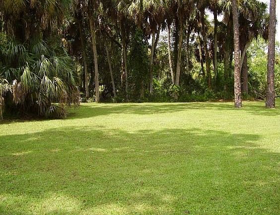 Part of Back Yard