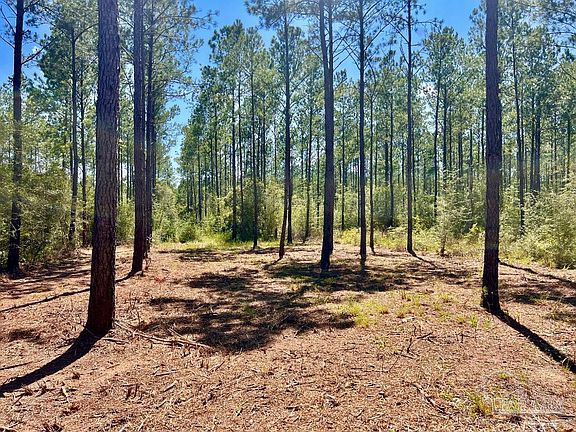 5th image of LOT 77 Naturewalk Dr