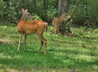 3371 S 8th Rd, Humansville, MO 65674