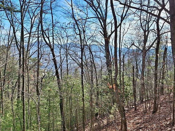 20260205 154456moses