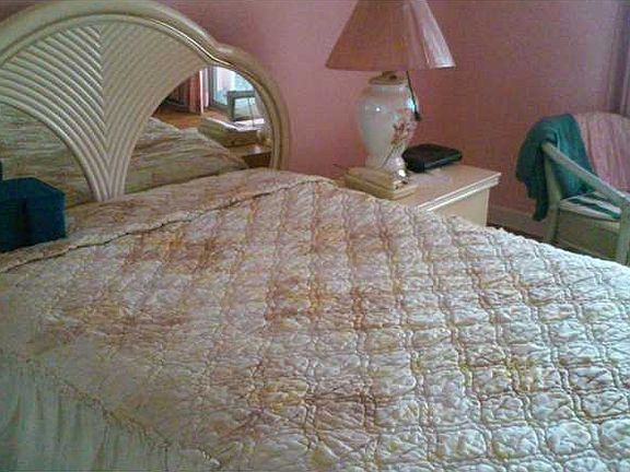 2nd image of 251 NE 187th St APT 818