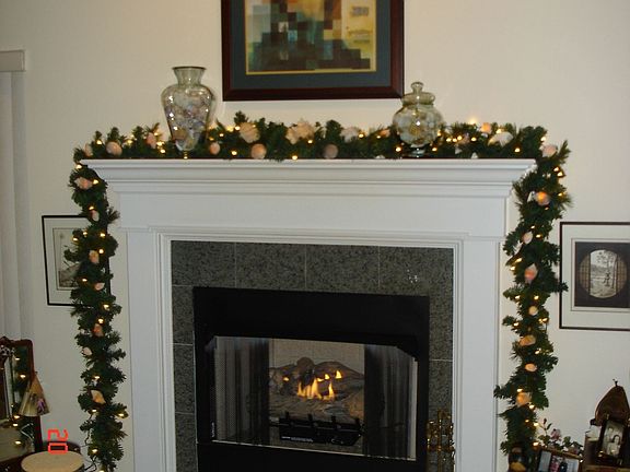 Natural Gas Fireplace
