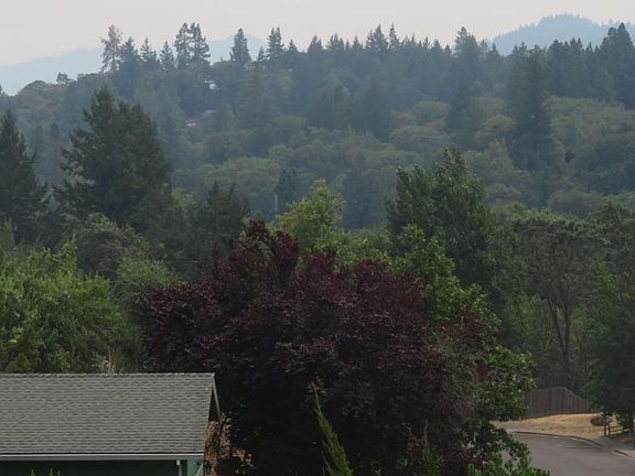 4th image of 158 Mill Creek Ct