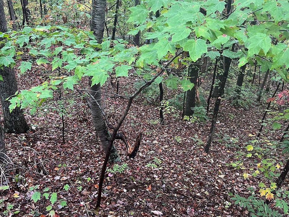 2nd image of Dale Lot 18