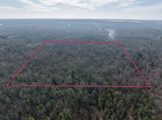 Dewey Rd, Howard city, MI 49329