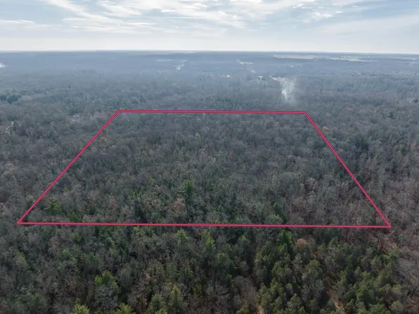 Dewey Rd, Howard City, MI 49329