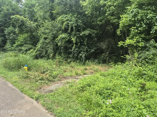 Waynewood Rd, Knoxville, TN 37912