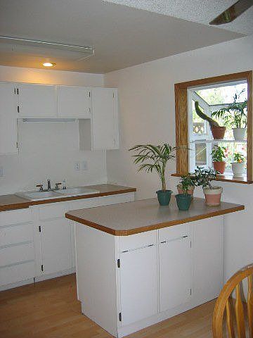 Updated Kitchen