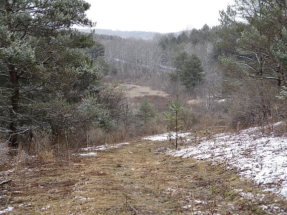4th image of 3834 County Highway 11