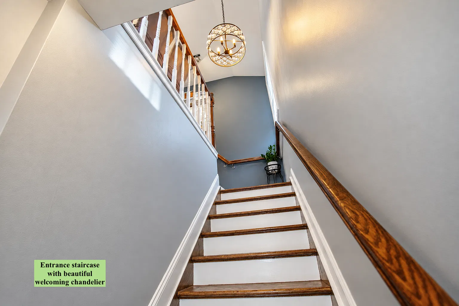 3 bed, $3,800 — Photo 3