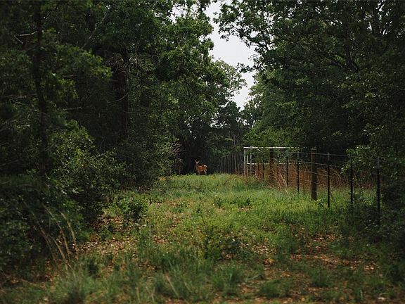 5th image of 0 Saint Delight Rd