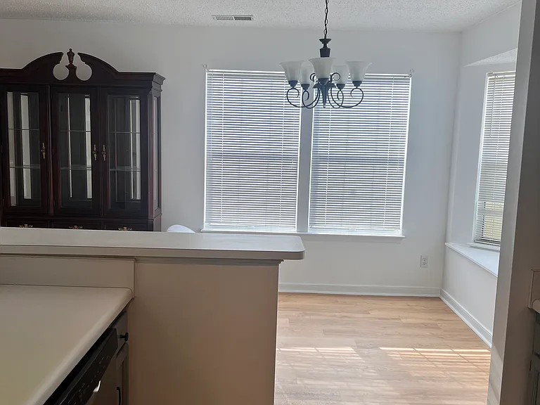 10106 Ann Michelle Ln — Photo 13