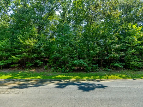 LOT 8 Cove Springs Dr, Dandridge, TN 37725