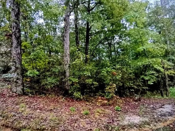 0 Red Ash Rd, Sugar Tree, TN 38380