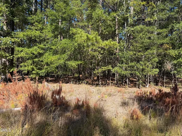 805 Snow Hill Rd Lot 8, Durham, NC 27712