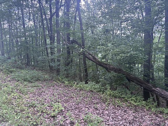 4th image of 0 Wilderness Creek Way
