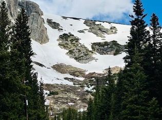 0 Mine Rd, Idaho Springs, CO 80452