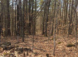 57 Phineas Graves Rd, Tuftonboro, NH 03816