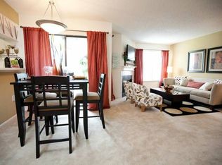 16404 Cypress Mulch Cir APT 3604, Tampa, FL 33624