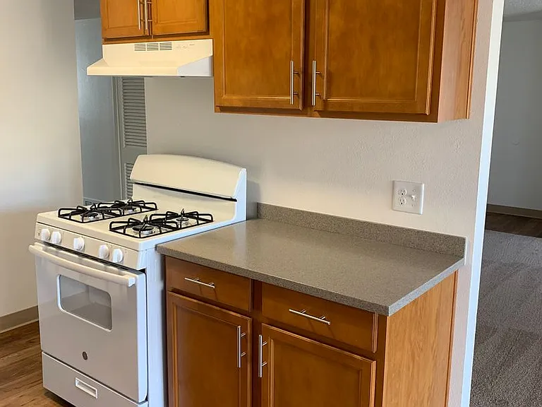 Shannon South Apartments — Photo 18