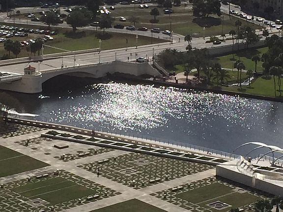 View of the Hillsborough River