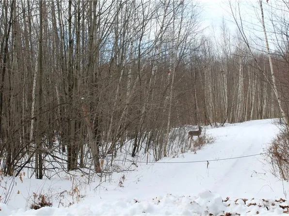 000 Badger Avenue, Granton, WI 54436