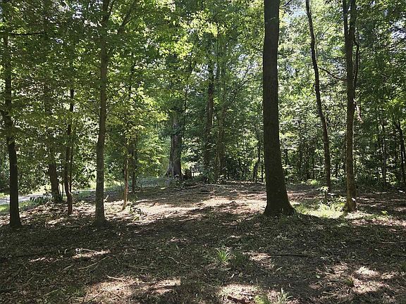 2nd image of Ouida Irondale Rd