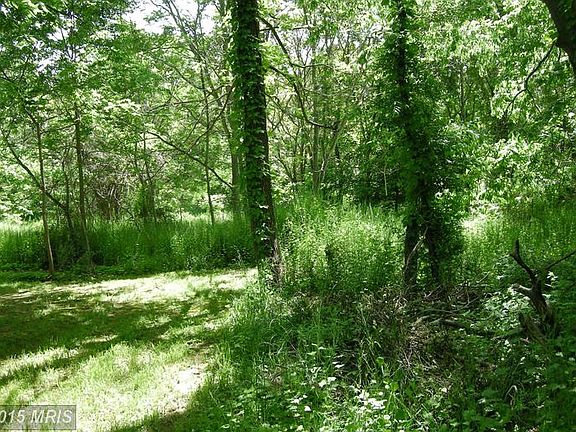 5th image of 501 Thoroughbred Dr