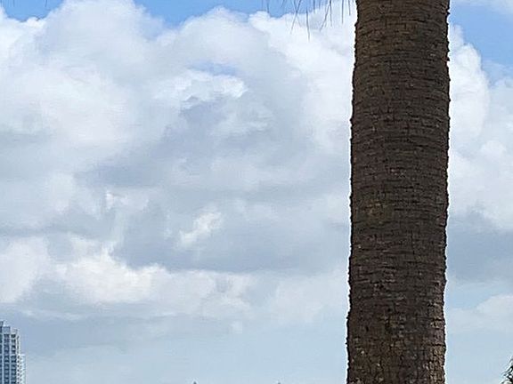3rd image of 845 S Gulfview Blvd APT 101
