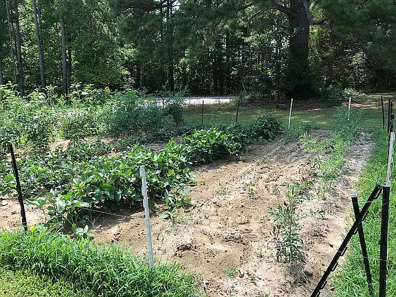5th image of 2378 Greentown Dr