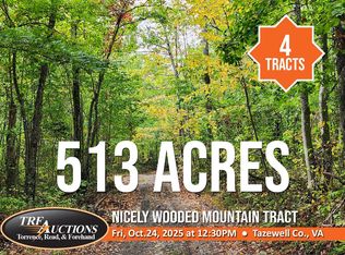 0 Franklin Rd, Bluefield, VA 24605