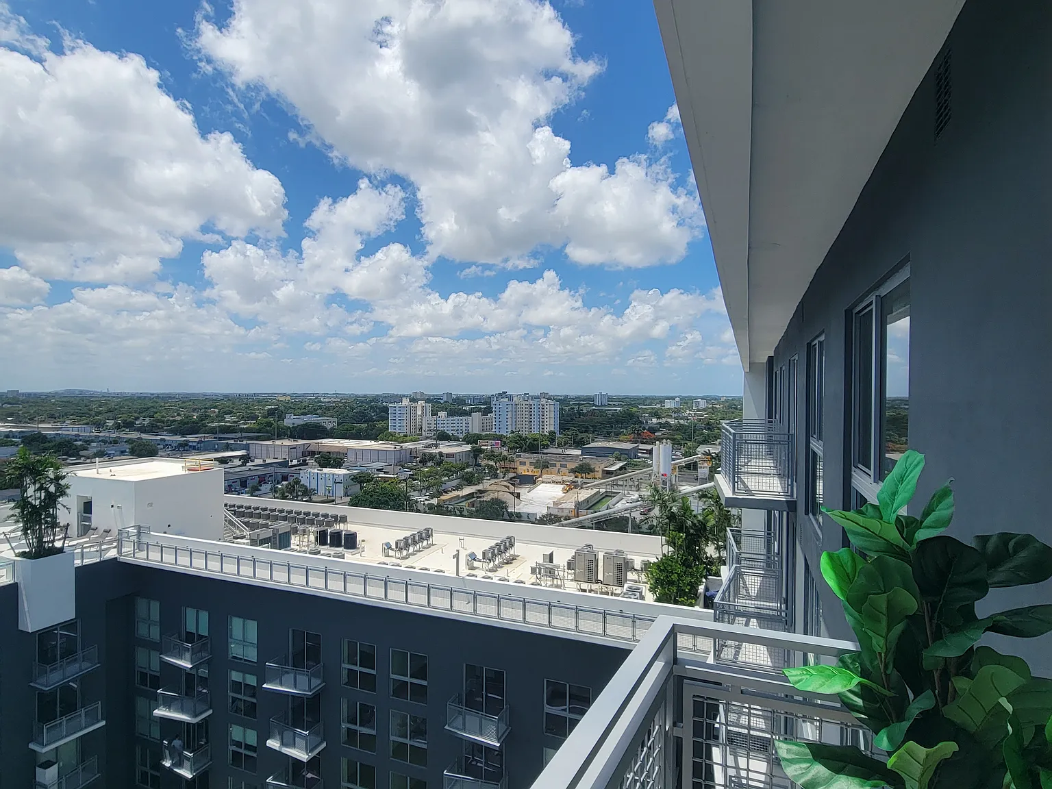 2 bed, 950 sqft, $2,480 — Photo 2
