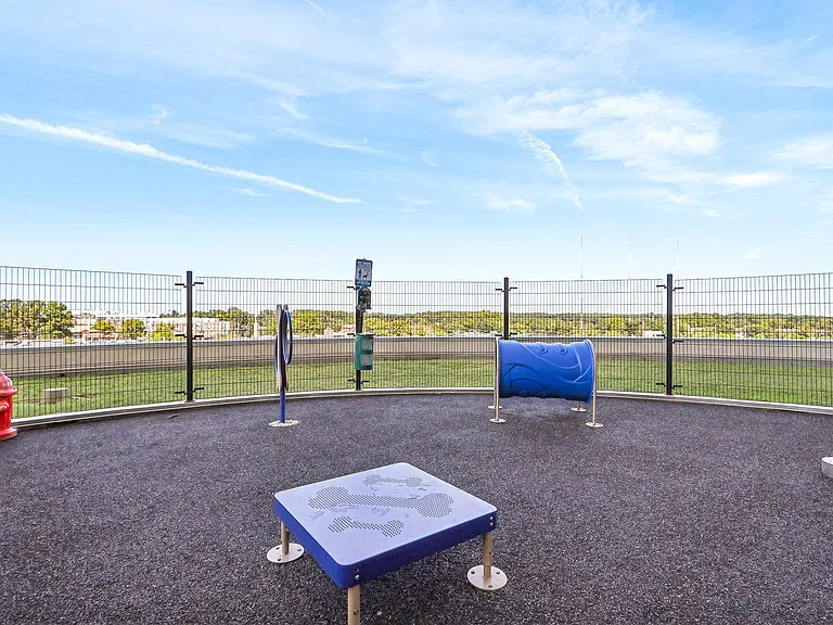 a dog park with a blue table and a fire hydrant