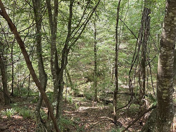 4th image of Como Rd