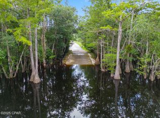 1718 SE Davis Peacock Rd, Kinard, FL 32449