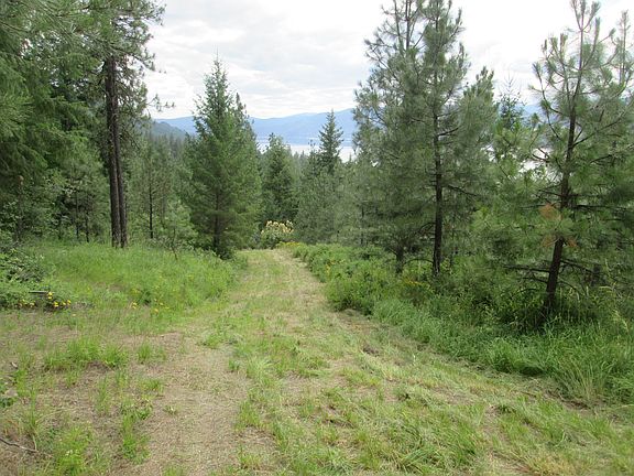 road through property