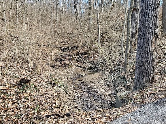 4th image of 10600 Dayton Cincinnati Pike Lot Wp001
