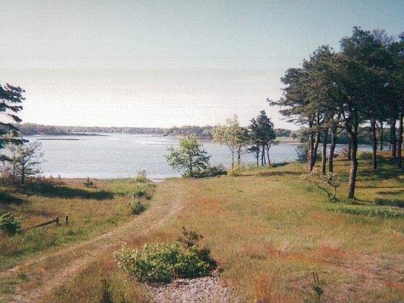 View from House