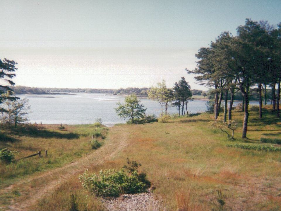 View from House