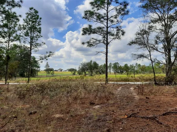 SW 209th Ave Lot 9, Dunnellon, FL 34431