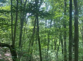 1194 Dogtown Rd, Ten Mile, TN 37880