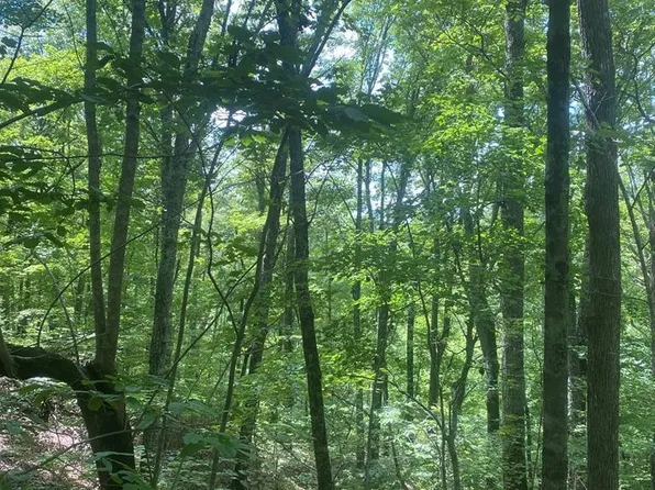 1194 Dogtown Rd, Ten Mile, TN 37880