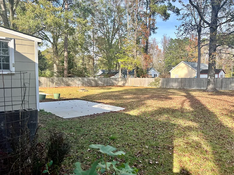 221 Mae Byrd Rd — Photo 19