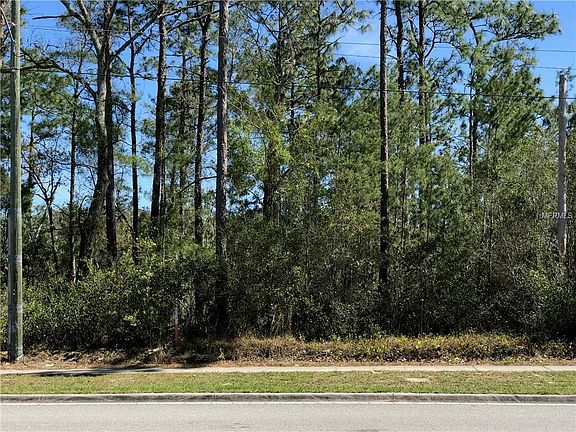 5th image of 1337 Courtland Blvd