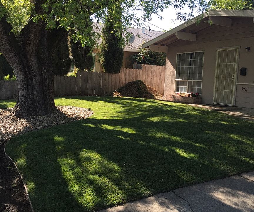 Newly landscaped front lawn!